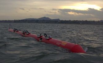 Prototipo pelamis